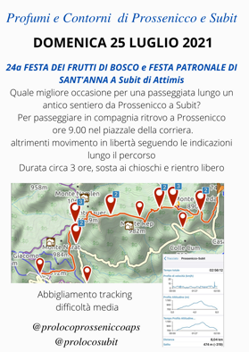 24a Festa dei frutti di bosco Sant'Anna a Subìt diAttimis