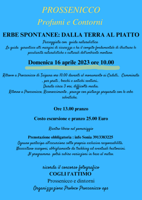 Incontro con le erbe spontanee Giornata con le erbe in tavola