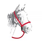 cavezza-maremmana-in-nylon-codice-articolo-br00152