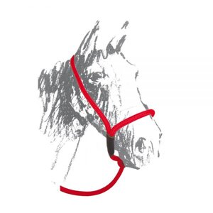 cavezza-maremmana-in-nylon-codice-articolo-br00152