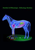 stable-boots-anteriori-magneto-terapeutiche-air-codice-articolo-za2710t