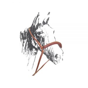 camarra-maremmana-artigianale-in-cuoio-codice-articolo-pe00120