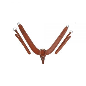 pettorale-buckaroo-border-stamp-pools-codice-articolo-pe00157