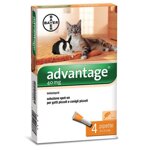 advantage-40-soluzione-spot-on-gatti-e-conigli-da-0-a-4-kg