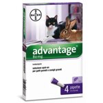advantage-80-soluzione-spot-on-per-gatti-e-conigli-4-kg