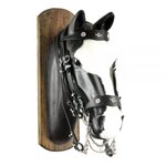 briglia-portoghese-cpettorale-e-sottocoda-codice-articolo-br00202