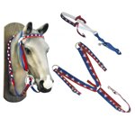 set-testiera-pettorale-redini-tie-down-nylon-usa-codice-articolo-lk1061