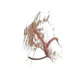 cavezza-maremmana-in-canapacuoio-codice-articolo-br00153