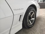 pontiac-trans-am-firebird-50-v8-venduta