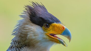 96731434-dae3-47e9-b560-308181d19f16