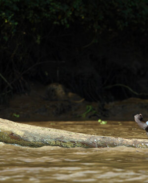 eyJpdCI6IiJ9 eyJpdCI6IiJ9