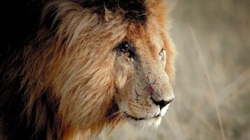 f3f658d2-8821-484b-ae03-b8e7eee4ab18