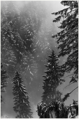 0ffa4c5a-e6b6-4e7d-ae3f-ca4fa504e169