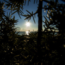Circeo Photo by Gianpiero Iacobucci