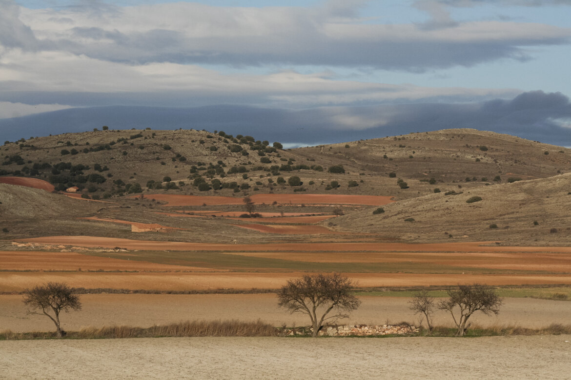 2548cdc4-845a-4acd-bec7-6cfe6d0883ea