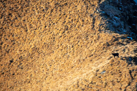 d5fbd0e7-cac2-4734-9714-fd42436d1ba0