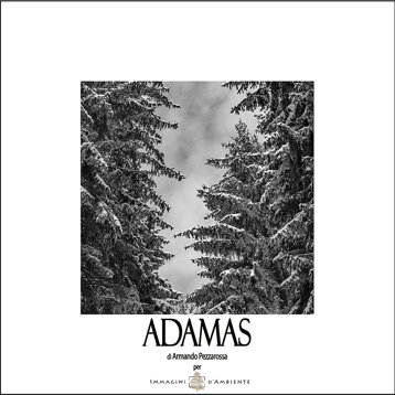 c3bce5b4-4fa4-4814-b961-bd563a60b8aa