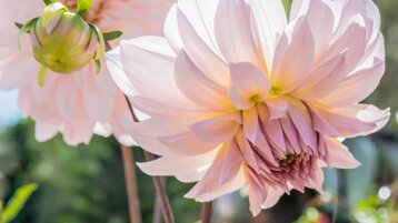 da08dd0c-dba9-47cb-9ac5-19e3d025e6db