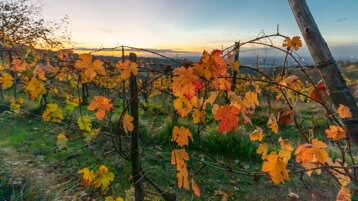 f3374c7e-4ce7-45ba-889c-dc1e837d81f8