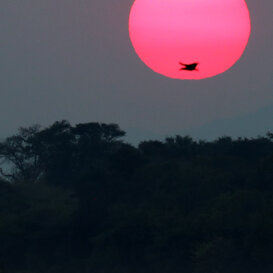 Sunset over the Zambezi Photo by Lorenzo Marchetti