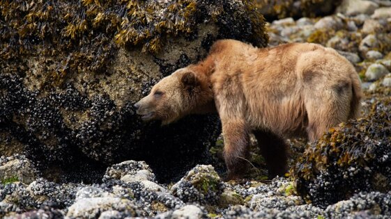 500816d2-529a-4dd4-81c7-cb39292cf6eb 500816d2-529a-4dd4-81c7-cb39292cf6eb