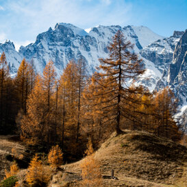 Photo by Samantha De Bernadin Autumn in Crampiolo, Alpe Devero
