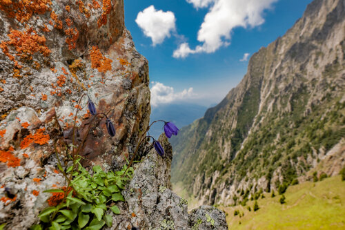 979d2bbe-f814-48d5-9ab6-73f9144425aa 979d2bbe-f814-48d5-9ab6-73f9144425aa