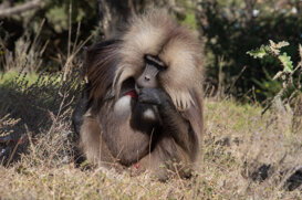 Ethiopia 2020 Photo by Luciana De Marco