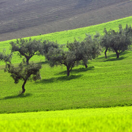 Gran Sasso - Abruzzo Photo by Lorenzo Marchetti