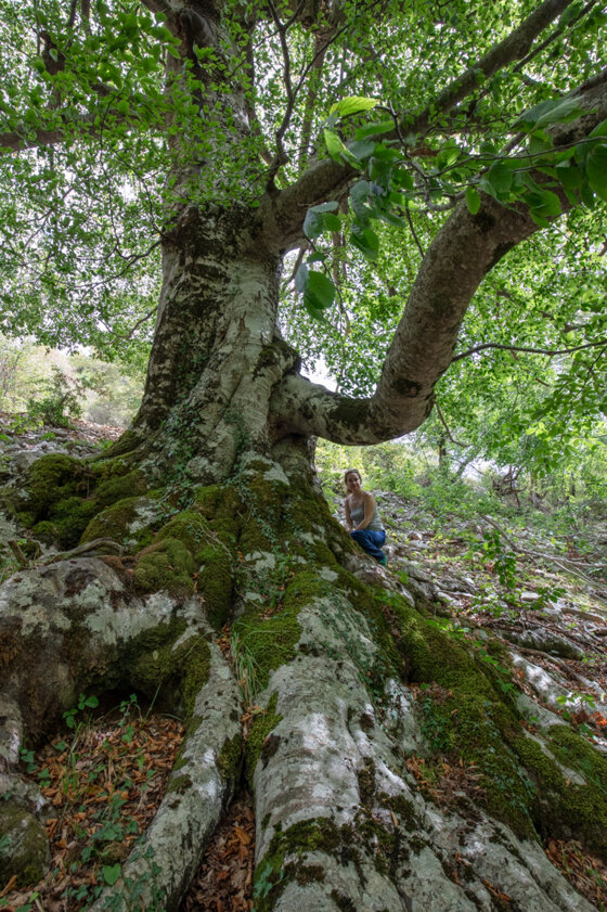 a44b985a-fae7-441f-8326-c8058ebb87e9