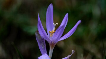 a4cfe28c-7dab-4d02-88dd-c3e48f7d1389