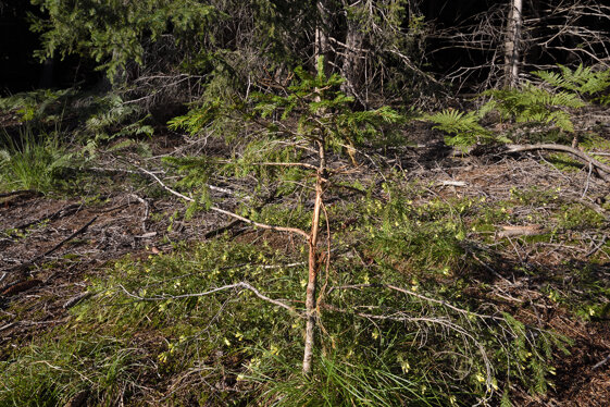 b65565b8-c683-4e4a-9425-fc04246a7423