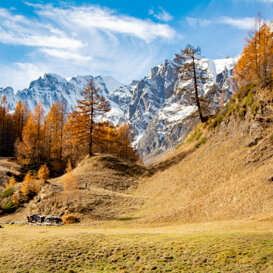 Photo by Samantha De Bernadin The magic of autumn colors, Crampiolo (Alpe Devero)
