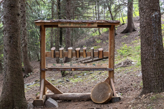 0a41ec10-a06b-4d3d-adfa-abe4ddcc9eac