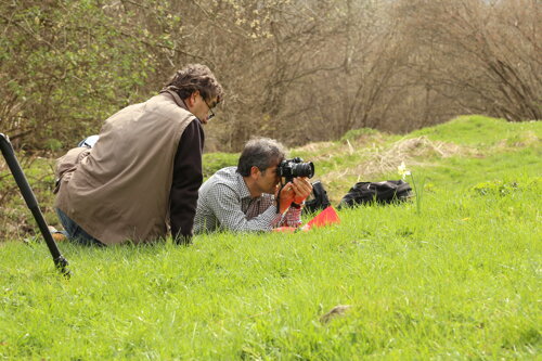 9ea71804-6ddf-4c07-8b73-c31a20632590 9ea71804-6ddf-4c07-8b73-c31a20632590