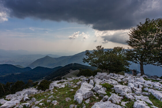 8d8ec58b-5401-4d4c-a96b-79f4848c2db5