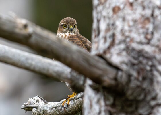 f57eb40c-391d-421e-b276-6d4b806a3159 f57eb40c-391d-421e-b276-6d4b806a3159