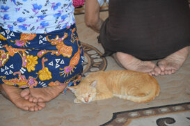 Women praying - Yangon 2015 Photo by Luciana De Marco