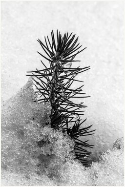 95cfb703-6220-44a7-9129-30db3171b128