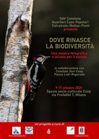 46aab1e0-69ac-4c3b-a839-e91184a7063f