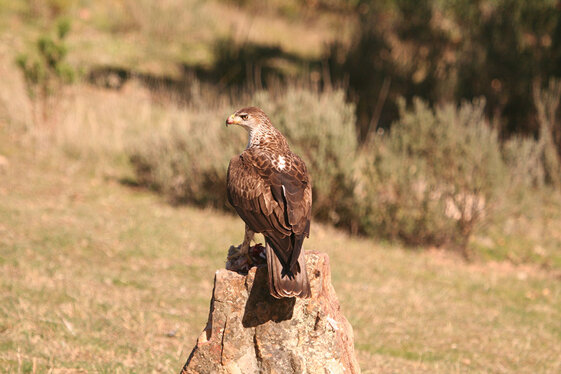 3af6e680-847f-4679-87f3-0346847b260e