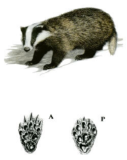 5b12f9f9-96b4-4473-9165-b85b200900f4