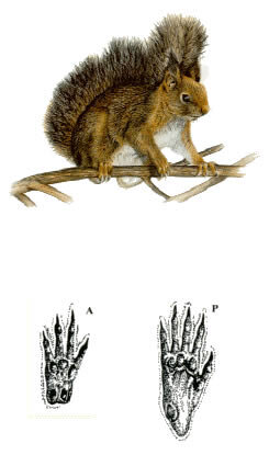 ba3d9f0d-5adb-42ed-8cfd-081460ed5f35