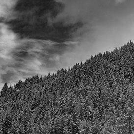 Photo by Armando Pezzarossa Adamas - Adamello Park