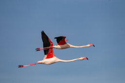 6d142394-7235-495a-a940-050de44949ff