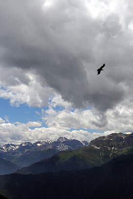 38e67aca-4c09-4054-9ab7-b975fc77a3b2