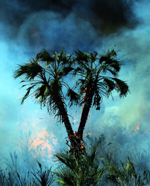 eyJpdCI6IiJ9 eyJpdCI6IiJ9