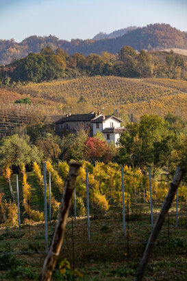 Giovanni Zanoli The Rocchetta of Mondondone