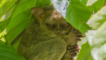 6a30f5c5-8560-46f1-9145-786fc75140dc