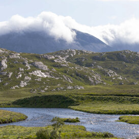 31a12d87-8159-42c4-8ad6-165ceeff3de5